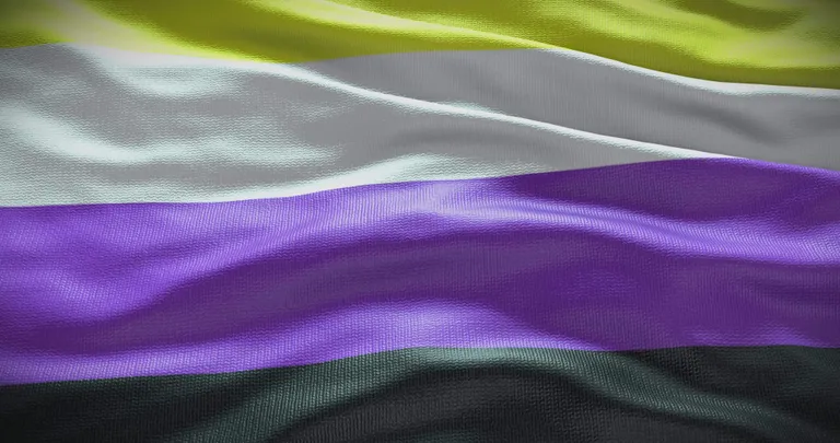 Non-binary pride flag with horizontal stripes of yellow, white, purple, and black